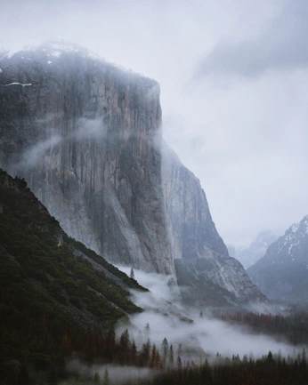 A cover of "Landscapes" cluster. The owner is ben. The cluster consists of 17 elements.