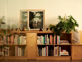 A cover of "Organize" cluster. The owner is thegaut. The cluster consists of 41 elements.