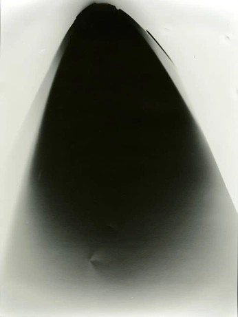 A cover of "noir" cluster. The owner is chxrlie. The cluster consists of 4 elements.