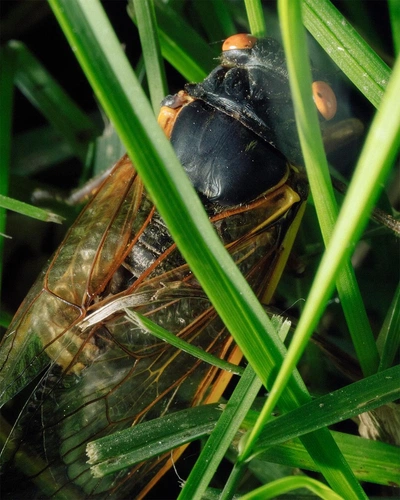 An Instagram carousel post added by aethereal.itf on Jun 05, 2024. The author is @atmos.