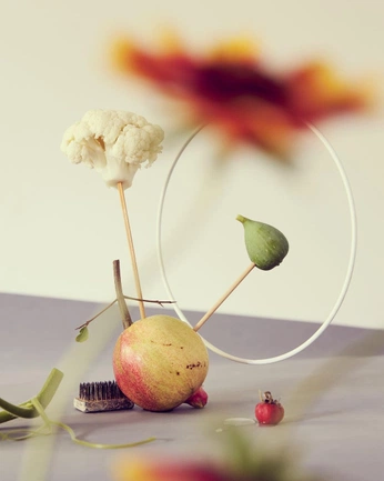 A cover of "Flowers + Botanical" cluster. The owner is omstudio. The cluster description is "Botanical sculptures and unusual botanicals.". The cluster consists of 30 elements.