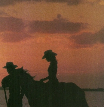 A cover of "LOIVE VIBES" cluster. The owner is sfsghshgs. The cluster consists of 27 elements.