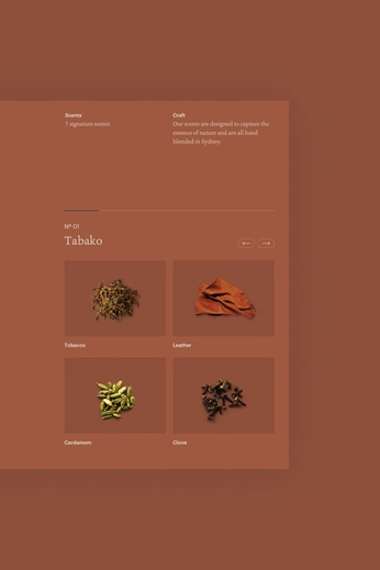 A cover of "Color" cluster. The owner is harty. The cluster consists of 2 elements.