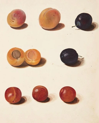 A cover of "elements2" cluster. The owner is pyona. The cluster consists of 7 elements.