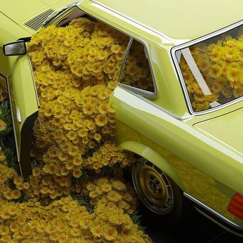 A cover of "Cars" cluster. The owner is bdrobby. The cluster consists of 6 elements.