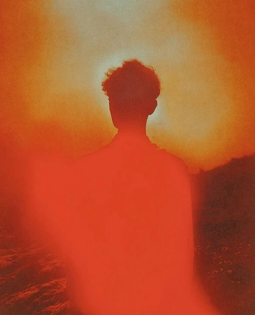 Cover of red cluster