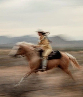 A cover of "Freedom collection" cluster. The owner is makejani. The cluster consists of 11 elements.