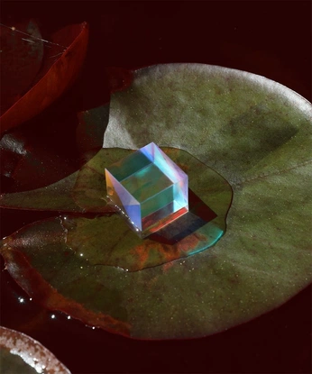 A cover of "Red." cluster. The owner is verdantvervain. The cluster consists of 24 elements.