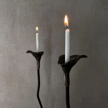 Cover of winter whispers cluster