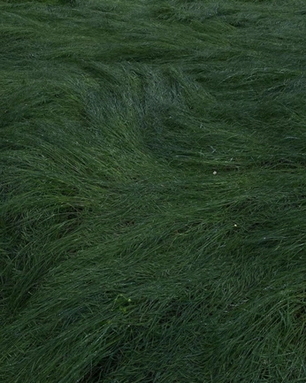 A cover of "Material" cluster. The owner is electrougly. The cluster consists of 1 element.