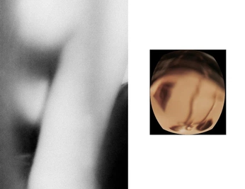 A cover of "connectivity" cluster. The owner is tankersley. The cluster consists of 42 elements.