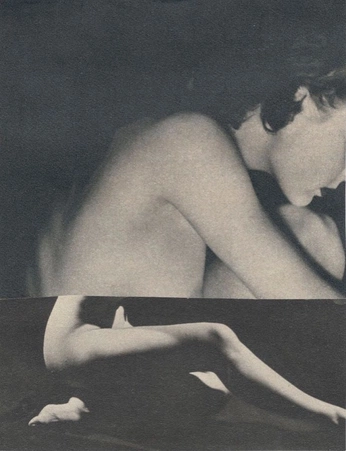 A cover of "Chair" cluster. The owner is hannah.lnfr. The cluster consists of 4 elements.