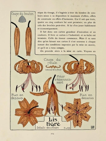 A cover of "Dessin : trames et compo" cluster. The owner is cvrentino. The cluster consists of 10 elements.