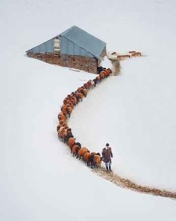 A cover of "natura" cluster. The owner is sofiabacca. The cluster consists of 5 elements.