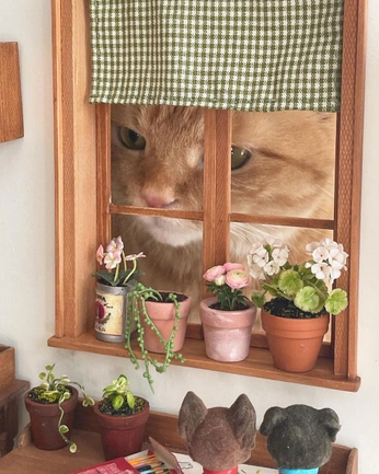 A cover of "Cat" cluster. The owner is yoouu. The cluster consists of 3 elements.