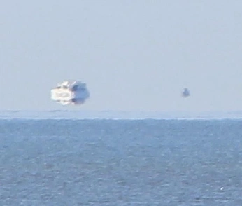 A cover of "vibe" cluster. The owner is nickfloats. The cluster consists of 321 elements.