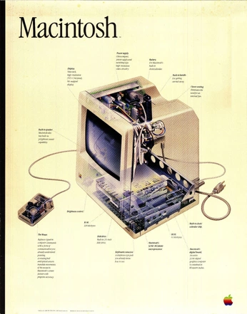A cover of "Technicalities ⚙️" cluster. The owner is slayercity. The cluster consists of 2 elements.
