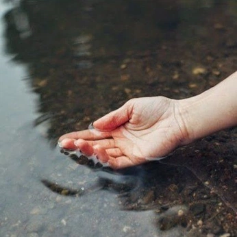 A cover of "it's nice that" cluster. The owner is syl21. The cluster description is "it is what it is". The cluster consists of 3112 elements.