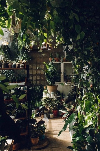 A cover of "Interior" cluster. The owner is dell4valt. The cluster consists of 8 elements.