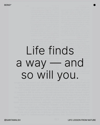 A cover of "Life" cluster. The owner is mxy.2. The cluster consists of 3 elements.