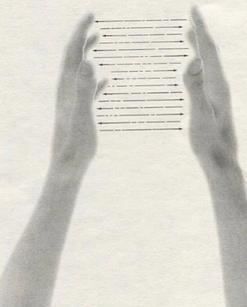 A cover of "Gesturing" cluster. The owner is bravadostudio. The cluster consists of 4 elements.