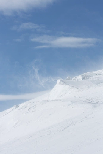 A cover of "polar" cluster. The owner is lauzi. The cluster consists of 23 elements.