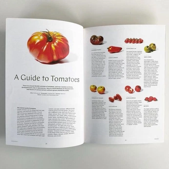A cover of "Content" cluster. The owner is naturesnursee. The cluster consists of 4 elements.
