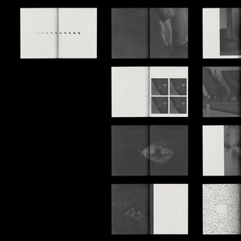 A cover of "editoreal" cluster. The owner is gadz852. The cluster consists of 8 elements.