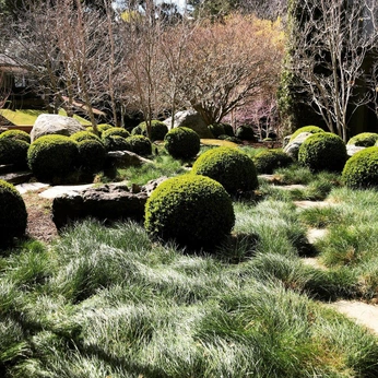 A cover of "garden" cluster. The owner is williamkale. The cluster consists of 13 elements.