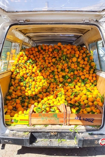 A cover of "Volkswagon" cluster. The owner is dnkbacker. The cluster consists of 13 elements.