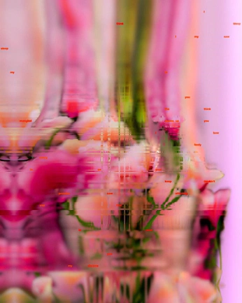 A cover of "BioConductors" cluster. The owner is erikpl. The cluster consists of 5 elements.