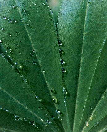 A cover of "personal moodboard" cluster. The owner is bre.beans. The cluster consists of 77 elements.