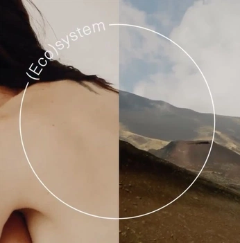 A cover of "Minimal Branding" cluster. The owner is colourcandi. The cluster consists of 6 elements.