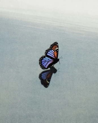 A cover of "Dress" cluster. The owner is lisab. The cluster consists of 10 elements.