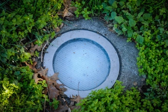 A cover of "Gloom Nature Photography" cluster. The owner is tearsandphotos. The cluster consists of 1 element.