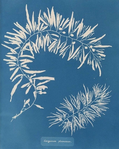 An Instagram carousel post added by ch1p666 on Mar 17, 2025. The author is @publicdomainrev.