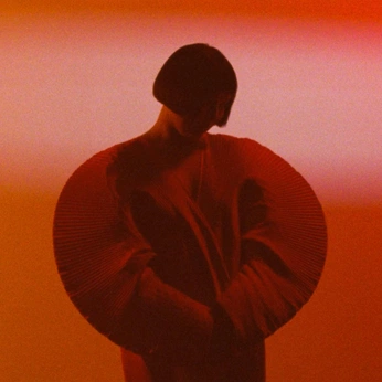 A cover of "FASHION" cluster. The owner is culturecaptures. The cluster consists of 205 elements.