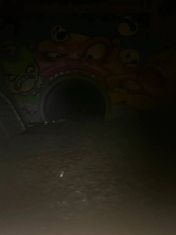 A cover of "AAA" cluster. The owner is renatogalvao. The cluster consists of 17 elements.