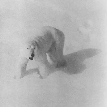 A cover of "terra" cluster. The owner is luca. The cluster consists of 823 elements.