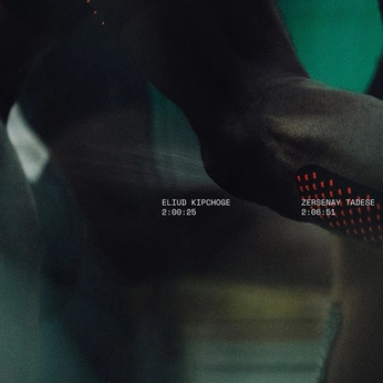 A cover of "COMPOSITION" cluster. The owner is dchk. The cluster consists of 25 elements.