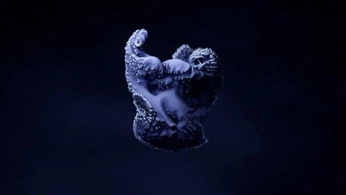 A cover of "sea-creatures" cluster. The owner is snailmonster. The cluster consists of 7 elements.