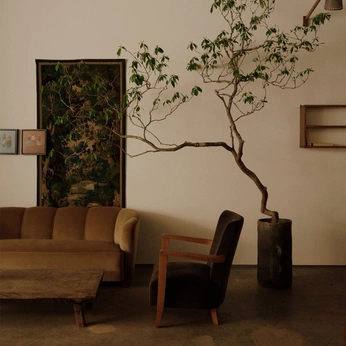 A cover of "space" cluster. The owner is hannaag. The cluster consists of 2 elements.