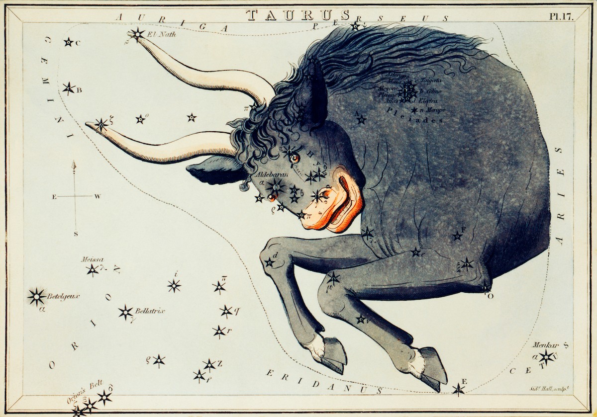 A zodiac illustration of Taurus in calming colors, representing the wisdom of the stars as a tool for creating balance and fulfillment through astrology.