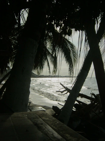 A cover of "Hawaii: Part II" cluster. The owner is lunarbee. The cluster consists of 19 elements.