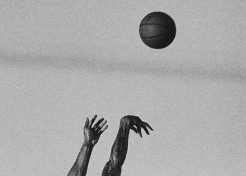 A cover of "Adidas" cluster. The owner is icebobo. The cluster consists of 38 elements.