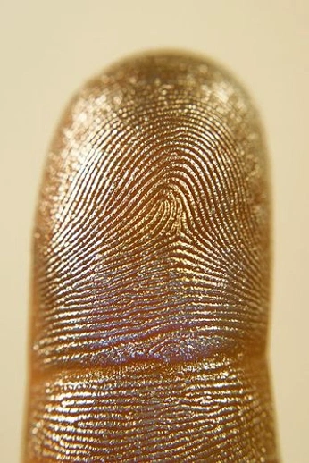 A cover of "COLUMBIA" cluster. The owner is marcasasmadrid. The cluster consists of 7 elements.