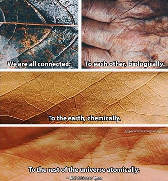 A cover of "spirit" cluster. The owner is natureseye. The cluster consists of 29 elements.