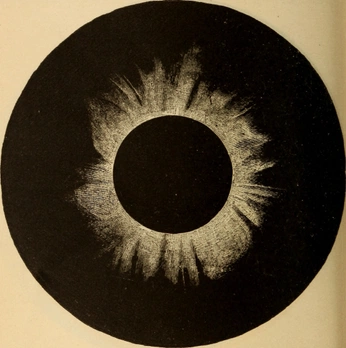 A cover of "b+w" cluster. The owner is dottiefor. The cluster consists of 9 elements.