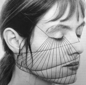 A cover of "how to consume yourself?" cluster. The owner is fluevanos. The cluster consists of 20 elements.