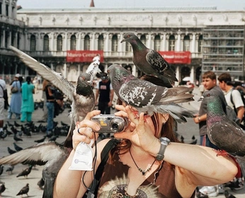 A cover of "venise" cluster. The owner is domli. The cluster consists of 33 elements.